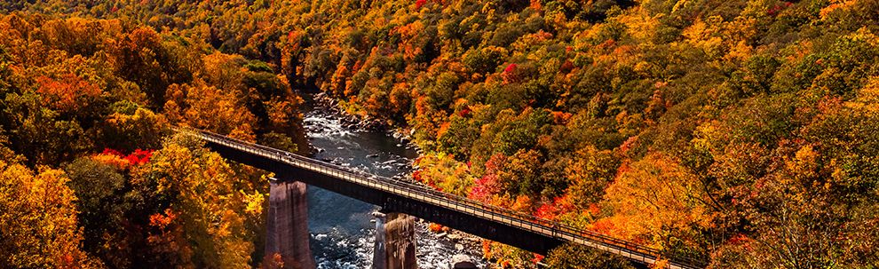 Stunning Aerial Fall Foliage View from Great Allegheny Passage rail trail in Ohiopyle State Park