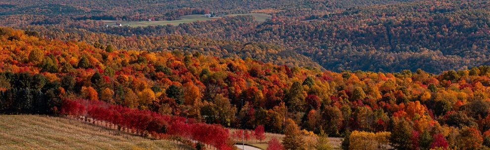 Kentuck Overlook