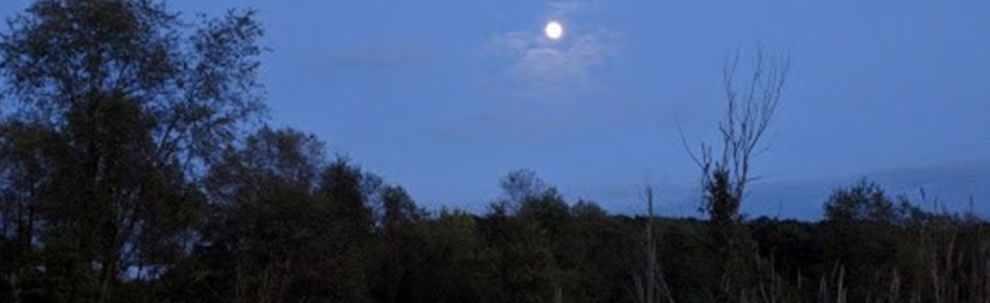 Forbes State Forest Harvest Moon Hike