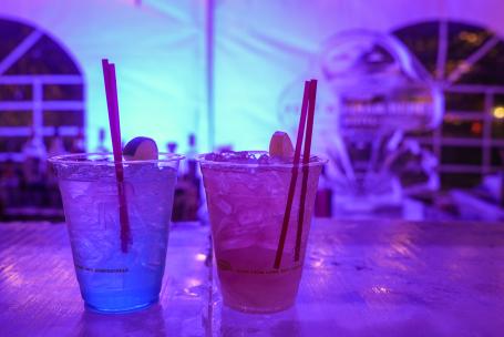 Polar Ice Bar - Drinks