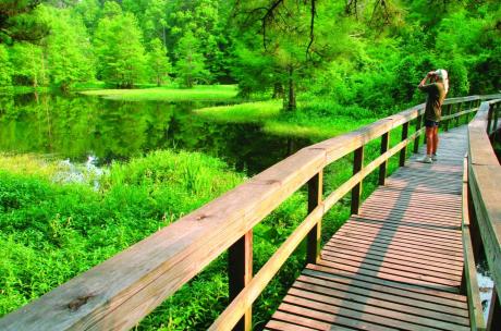 Bird Fest Northshore scenic beauty at the Northlake Nature Center