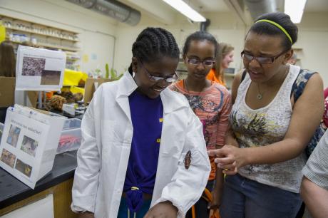 visitors learn about bugs at Imagine RIT