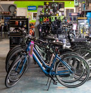 Interior of Outback Bikes. A row of bikes on display with accessories rack in the background.