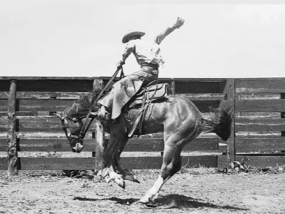 Harding County Ranch Rodeo