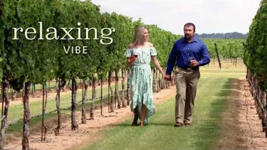 Texas Wine Country in 30 Seconds