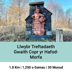 Gwaith Copr yr Hafod-Morfa