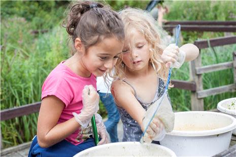 Children Pond dipping at RSPB Pagham Harbour
