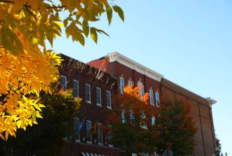 Fall yellow tree downtown