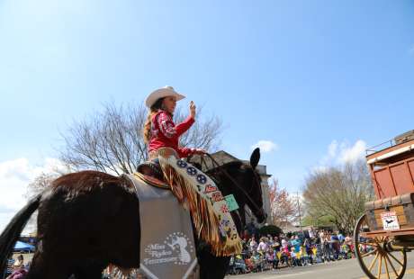 How to Spend a Weekend in Columbia, TN During Mule Day