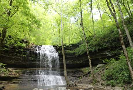 Your Guide to Outdoor Adventures in Columbia, TN