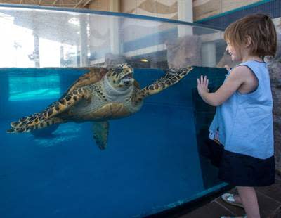 texas state aquarium