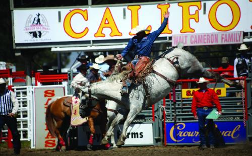 CA Rodeo Salinas
