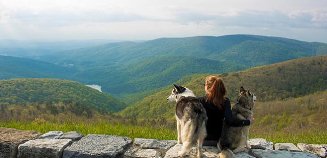 Virginias Appalachian Trail - Virginia Is For Lovers