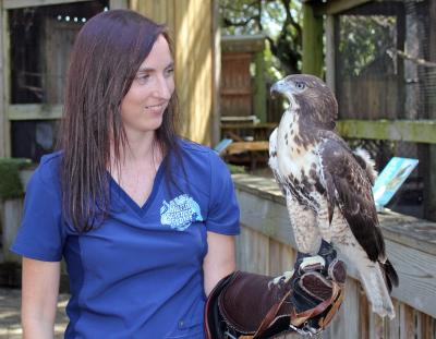 Raptor Marine Science Center