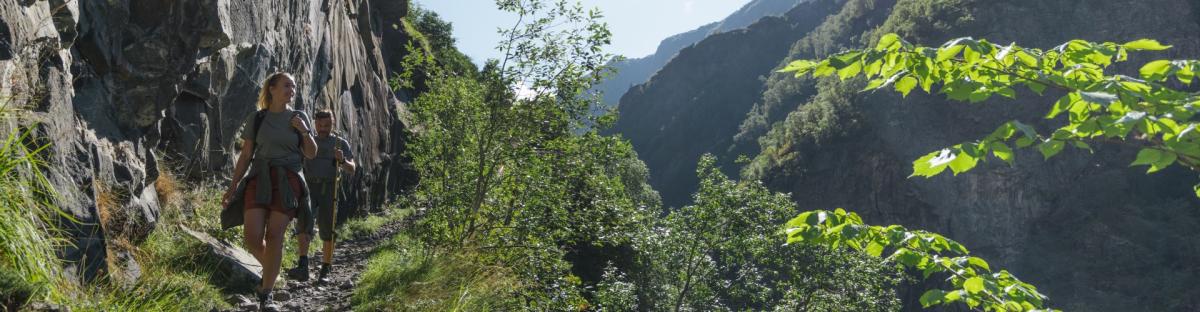 Aurlandsdalen web