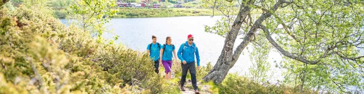 Aurlandsdalen web