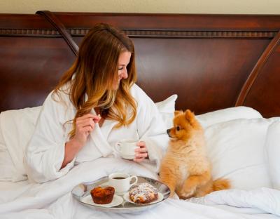 photo of a woman in a robe in bed with breakfast and her little brown dog next to her at The Grand