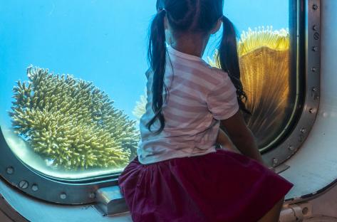 From the window of Fish Eye Underwater Observatory