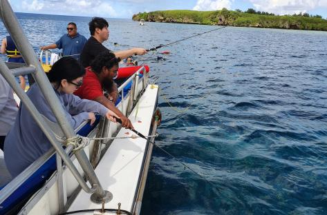Guam Dolphin Cruise 4