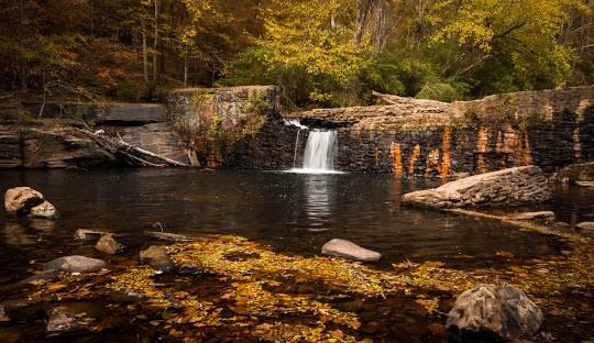 Freeman's Mill Park