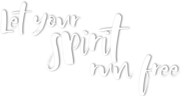 Let your spirit run free