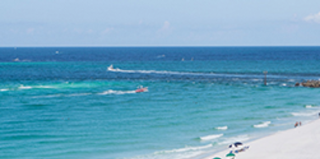 Are There Sharks In Destin Fort Walton Beach Amp Okaloosa
