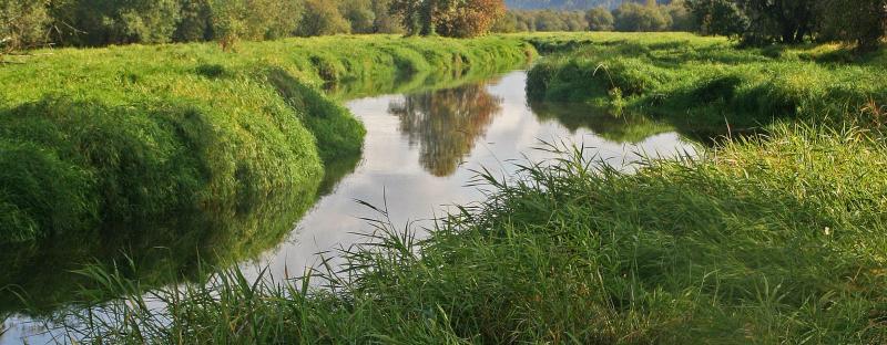 Visit The Salmon Creek Neighborhood In Vancouver Washington