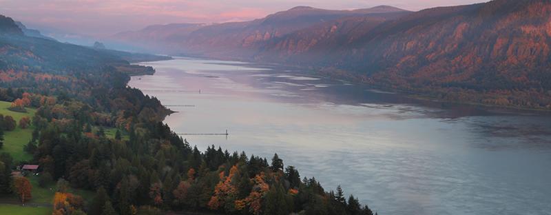 The Best Columbia River Gorge Hikes and Viewpoints - Erika's Travels