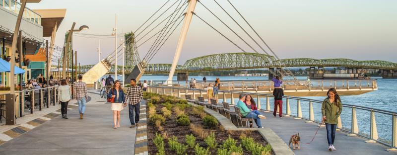 Vista Del Puente Colgante De La Suspensión Del Río Salmón En El