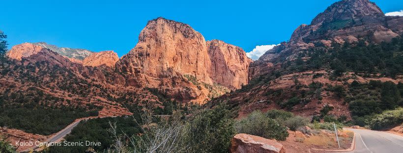 Labor Day Weekend Blog - Highlights