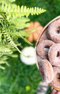 Picture of Gabel House Bakery Donuts