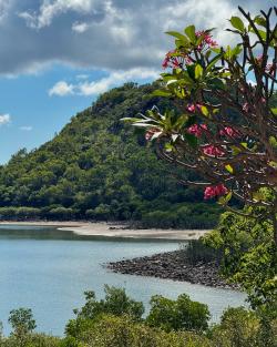 Kuri Bay View