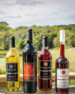 This is a picture of four different bottles of Spyglass Ridge Winery wines sitting on a patio table at the winery with trees and a gray blue sky in the background.