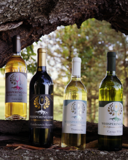 Picture of four different bottles of wine from Whispering Oaks Winery & Vineyards. The bottles of wine are sitting on a tree branch with grass and trees in the backgrounds.
