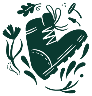 Boot - Oak - Illustration
