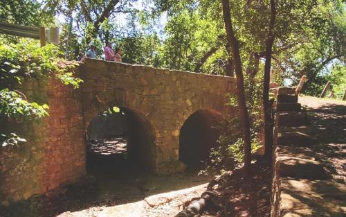 TTA-Winner Panther Canyon