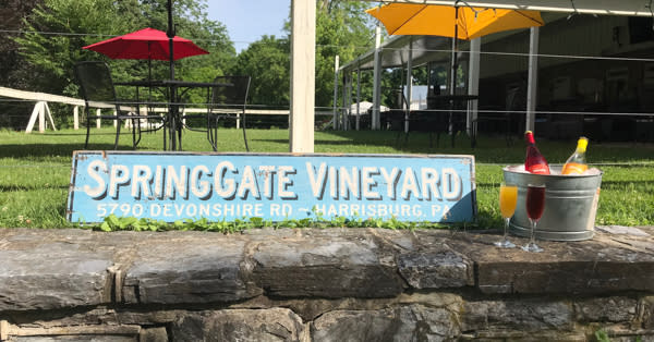SpringGate Wines at Vineyard