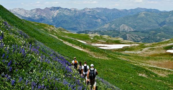 The Ultimate Guide to the 50 Best Hikes in Utah Valley