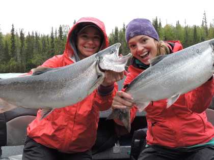 Wildlife in Anchorage | Visit Anchorage