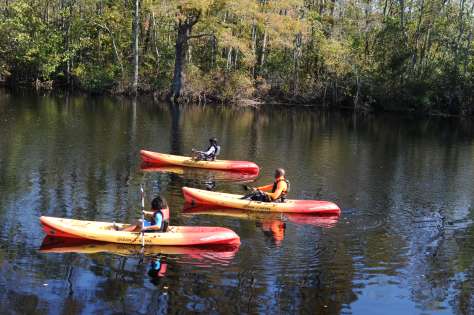 Paddler Safety