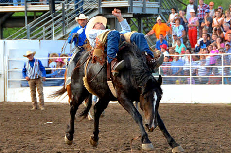 Steamboat Pro Rodeo Series | Steamboat Springs Chamber