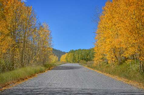 Autumn Magic Along Military Ridge Trail >> 20 Things To Do This Fall In Steamboat The Bucket List Autumn Magic Along Military Ridge Trail >> 20 Things To Do This Fall In Steamboat The Bucket List