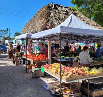 Englewood Farmer's Market, October through May