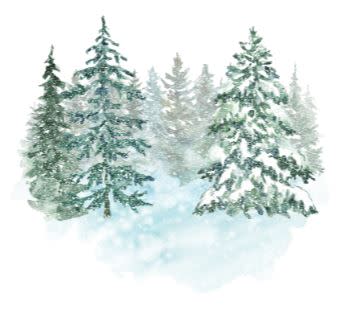 Package Itineraries Tree Image