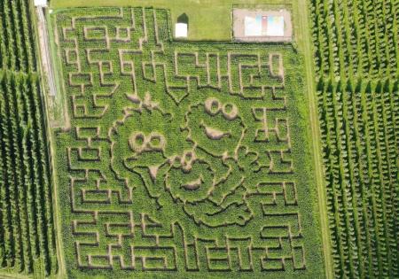 Mt. Airy Orchard corn maze 2025