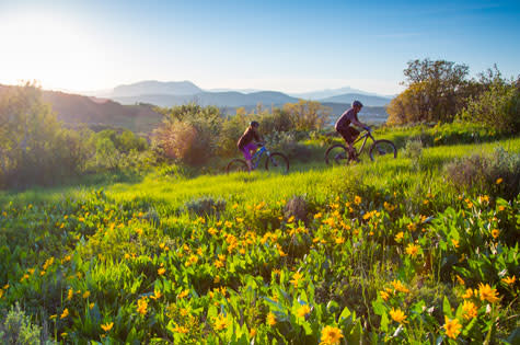 Mountain Biking on Emerald Mountain in early summer