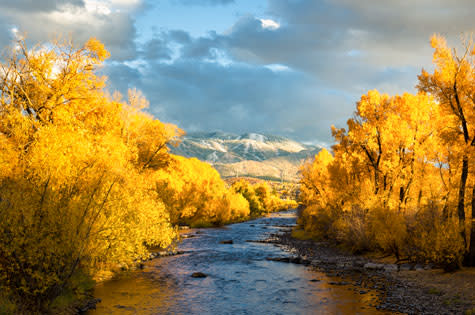 The Yampa River glows in the Fall