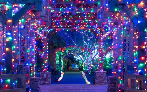 Winter Lights at the North Carolina Arboretum 2017