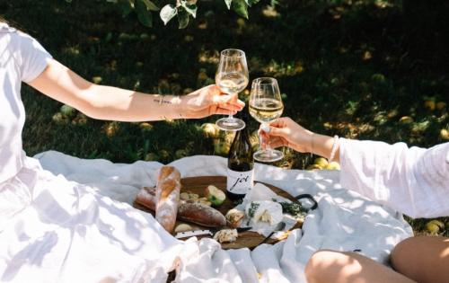 Two people having an outdoor picnic on a blanket with a snack board.