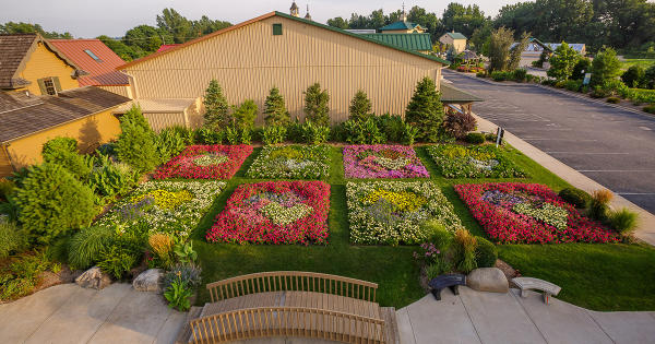 Quilt Gardens Flowers